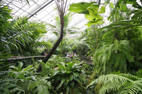 Australian Butterfly Sanctuary - Accommodation Mt Buller 3