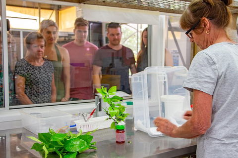 Australian Butterfly Sanctuary - Accommodation Mt Buller 5