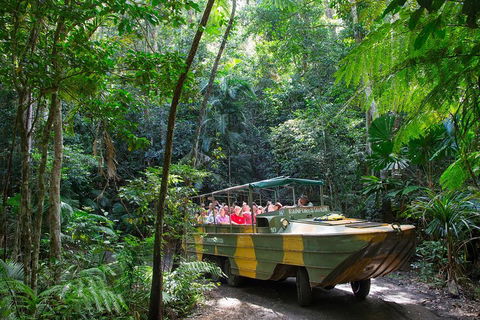 Kuranda Highlights Including Rainforestation Aboriginal Culture And Wildlife - Accommodation Mt Buller 2