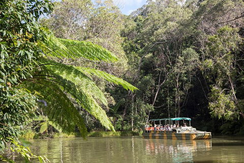 Kuranda Village, Army Duck Tour With Train And Skyrail (KDB) - Accommodation Mt Buller 4