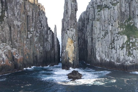 Tasman Island Cruises And Port Arthur Historic Site Day Tour From Hobart - Accommodation Mt buller 2