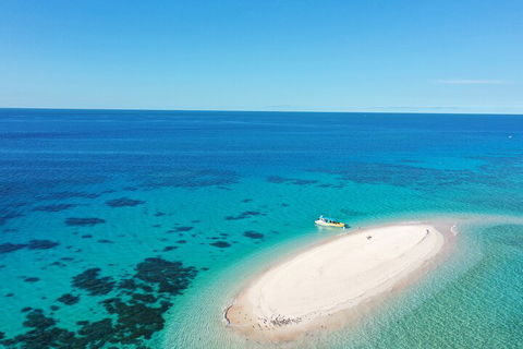 Ocean Safari Great Barrier Reef Experience In Cape Tribulation - Accommodation Mt Buller 0