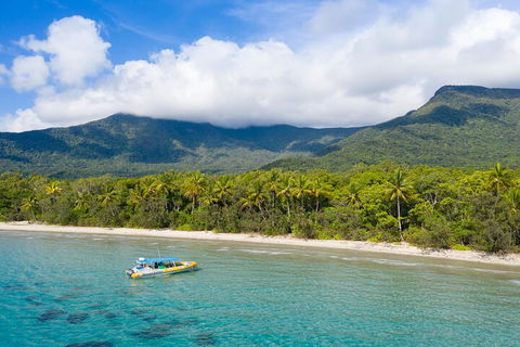 Ocean Safari Great Barrier Reef Experience In Cape Tribulation - Accommodation Mt Buller 2