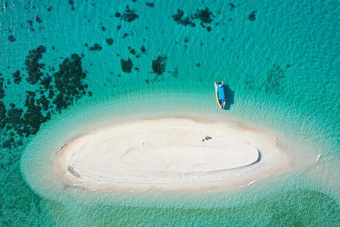 Ocean Safari Great Barrier Reef Experience In Cape Tribulation - Accommodation Mt Buller 3
