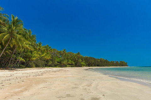 Ocean Safari Great Barrier Reef Experience In Cape Tribulation - Accommodation Mt Buller 4