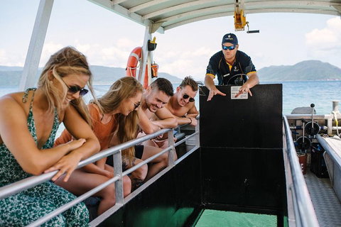 Fitzroy Island Day Trip From Cairns - Accommodation Mt buller 4