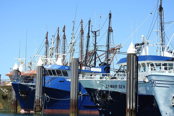  Accommodation Mt Buller