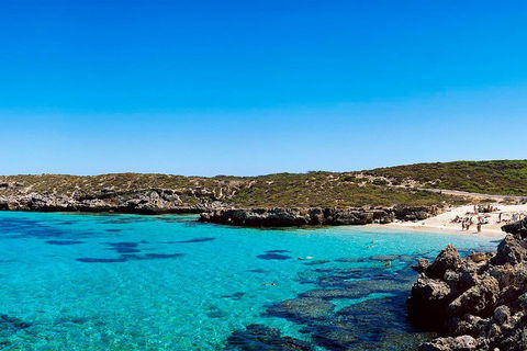 Rottnest Island Roundtrip Fast Ferry From Hillarys Boat Harbour - Accommodation Mt buller 4