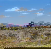 Overnight Uluru Ayers Rock Small-Group Camping Tour - Accommodation Mt Buller