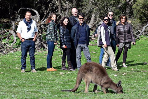 2-Day Kangaroo Island 4WD Small-Group Tour From Adelaide - Accommodation Mt Buller 1