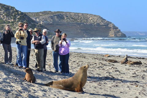 2-Day Kangaroo Island 4WD Small-Group Tour From Adelaide - Accommodation Mt Buller 3