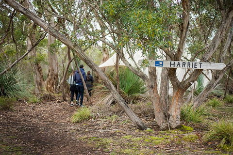 2-Day Kangaroo Island 4WD Small-Group Tour From Adelaide - Accommodation Mt Buller 5