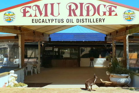 2 Day Ultimate Kangaroo Island With Return Ferry - Accommodation Mt Buller 3