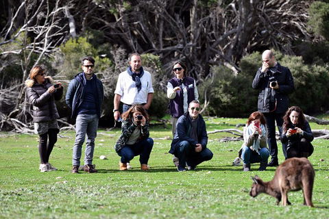 Small-Group Kangaroo Island 4WD Tour From Adelaide - Accommodation Mt Buller 2