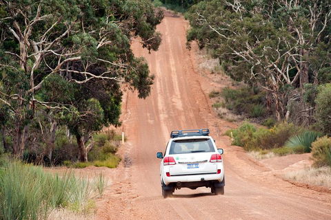 Small-Group Kangaroo Island 4WD Tour From Adelaide - Accommodation Mt Buller 3