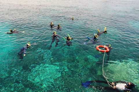 Seastar Luxury Outer Great Barrier Reef Island And Reef Tour From Cairns - Accommodation Mt Buller 2