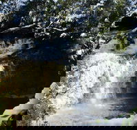 Cradle Mountain Day Tour from Launceston Including Lunch - Accommodation Mt Buller