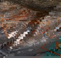 Kakadu National Park Wildlife and Ubirr Rock Art Tour from Darwin City - Accommodation Mt Buller