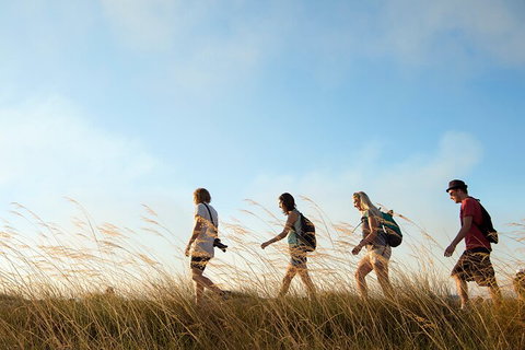 Kakadu National Park Wildlife And Ubirr Rock Art Tour From Darwin City - Accommodation Mt buller 4