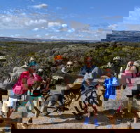 McLaren Vale Wine Tour by Bike - Accommodation Mt Buller