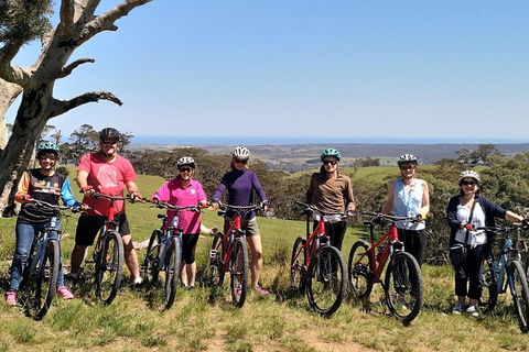 McLaren Vale Wine Tour By Bike - Accommodation Mt Buller 2