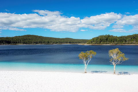 All-Inclusive Fraser Island Day Tour - Accommodation Mt Buller 3