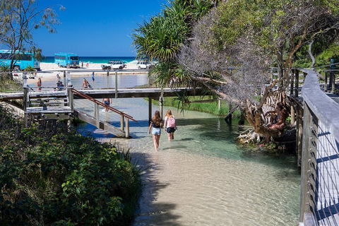 All-Inclusive Fraser Island Day Tour - Accommodation Mt Buller 4