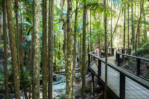 All-Inclusive Fraser Island Day Tour - Accommodation Mt Buller 5