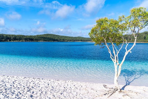 Lake McKenzie Full-Day Tour With Lunch From Hervey Bay - Accommodation Mt Buller 1