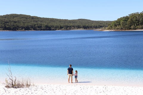 Lake McKenzie Full-Day Tour With Lunch From Hervey Bay - Accommodation Mt Buller 2