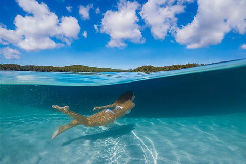 Lake McKenzie Full-Day Tour With Lunch From Hervey Bay - Accommodation Mt Buller 5