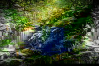 Day Tour in Mt. Field Mt. Wellington Bonorong Wildlife Sanctuary and Richmond, Hobart