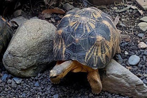 Hartley's Crocodile Adventures General Entry Ticket - Accommodation Mt Buller 2