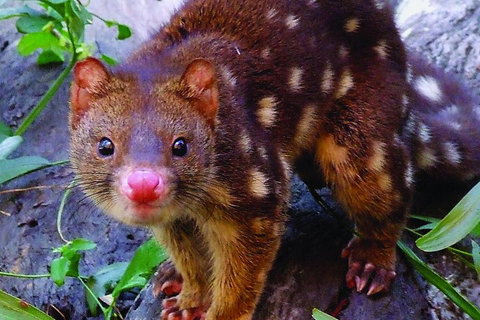 Hartley's Crocodile Adventures General Entry Ticket - Accommodation Mt Buller 4