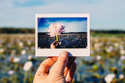 Kakadu Wilderness Escape - Top End Day Tour From Darwin - Accommodation Mt buller 3