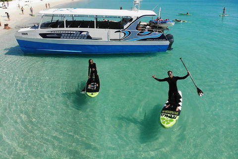 Whitsunday Bullet Day Trip - Whitehaven Beach And Snorkelling - Accommodation Mt Buller 4