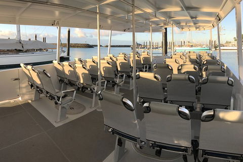 Whitsunday Bullet Day Trip - Whitehaven Beach And Snorkelling - Accommodation Mt Buller 5