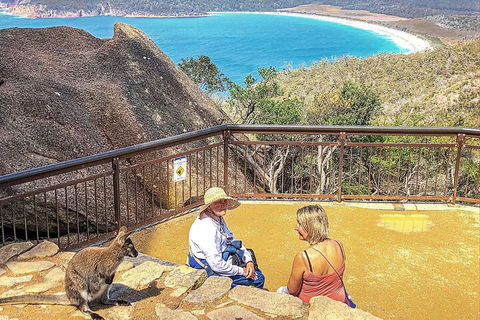 Wineglass Bay & Freycinet NP Full Day Tour From Hobart Via Richmond Village - Accommodation Mt Buller 1