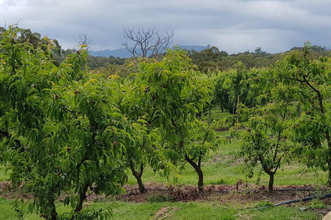 Yarra Valley Wineries And Rayners Orchard Tour From Melbourne - Accommodation Mt Buller 2