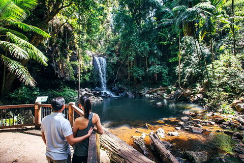 Aquaduck & Your Choice Of Gold Coast Rainforest Tour - Accommodation Mt Buller 0