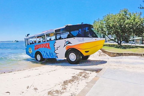 Aquaduck & Your Choice Of Gold Coast Rainforest Tour - Accommodation Mt Buller 1