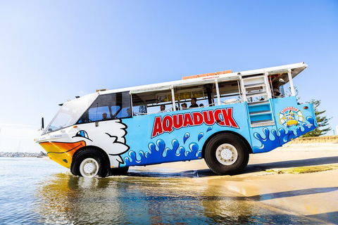 Aquaduck & Your Choice Of Gold Coast Rainforest Tour - Accommodation Mt Buller 3