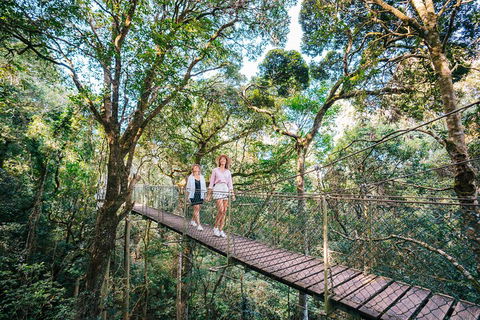 Aquaduck & Your Choice Of Gold Coast Rainforest Tour - Accommodation Mt Buller 4