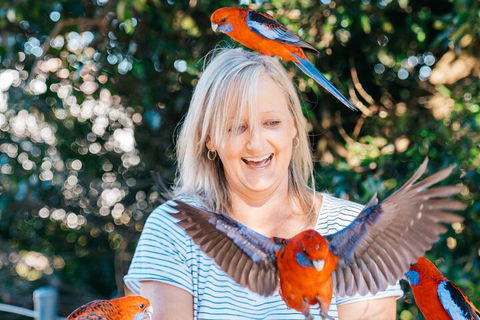 Aquaduck & Your Choice Of Gold Coast Rainforest Tour - Accommodation Mt Buller 5