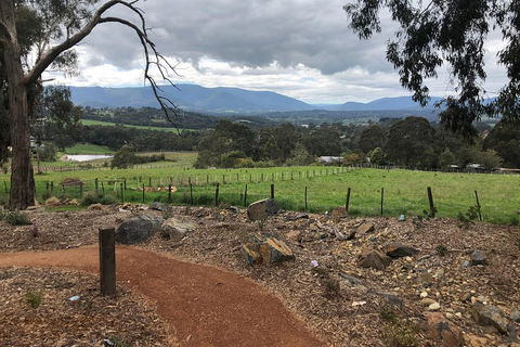 Yarra Valley Wine Tour Inc Lunch With A Glass Of Wine, Tastings And Chocolate - Accommodation Mt Buller 0