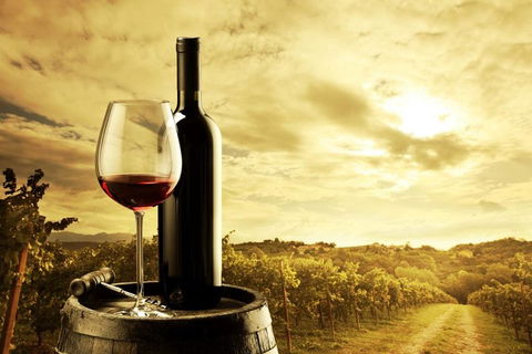 Barossa Valley Cellar Doors Luxury Wine Tour - Accommodation Mt Buller 0