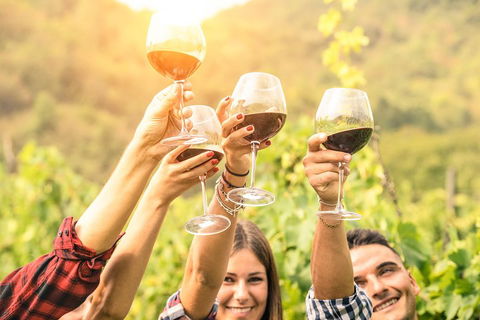 Barossa Valley Cellar Doors Luxury Wine Tour - Accommodation Mt Buller 1