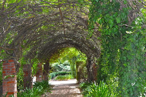 Barossa Valley Cellar Doors Luxury Wine Tour - Accommodation Mt Buller 3