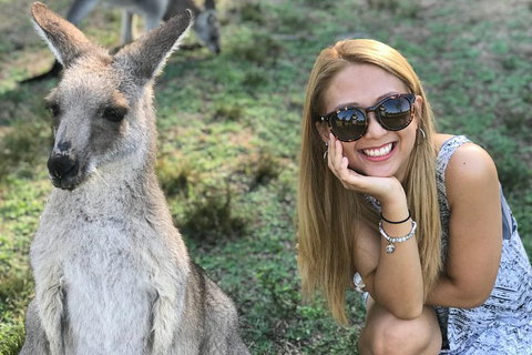 PJ Blue Mountains Supreme Day Tour - Accommodation Mt Buller 2