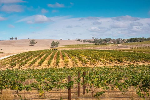 Barossa Valley Private Tour (from 2 To 11 People) - Accommodation Mt Buller 2